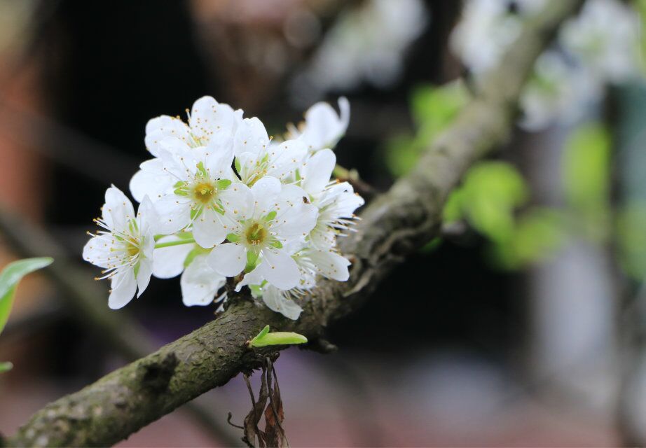 qq图片20180313180441